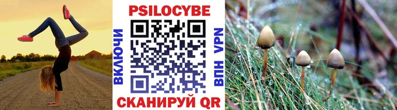Псилоцибиновые грибы Psilocybine cubensis  Купить  Яхрома 